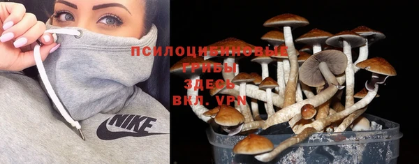 синтетический гашиш Армянск