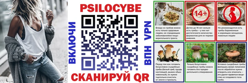 Псилоцибиновые грибы ЛСД  продажа наркотиков  гидра как зайти  Барабинск 
